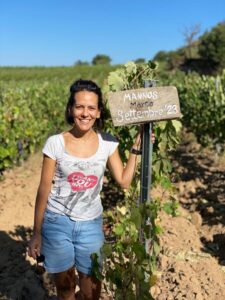 Adotta un Angolo di Sardegna: dall'Alveare ai Filari in Vigna, la Rivoluzione di Mannos