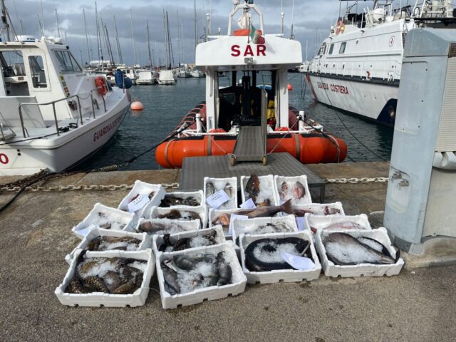 90 kg di pescato in macchina: tutto sequestrato e devoluto in beneficenza